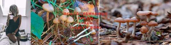 mix Балабаново