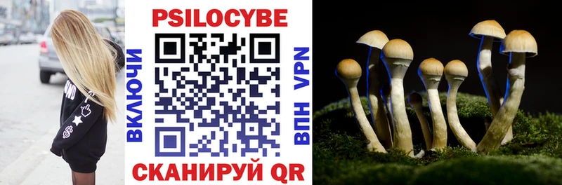 Псилоцибиновые грибы Psilocybine cubensis  Пугачёв 
